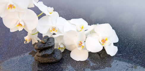 Fototapeta na wymiar White orchids flowers and spa stones . Spa background.