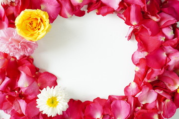 Beautiful flowers on a white background