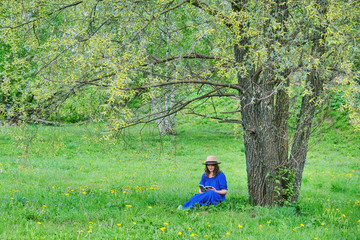 A young woman is sitting under a tree and reading a book. Girl in a blue dress with a book on a background of spring nature © Андрей Журавлев