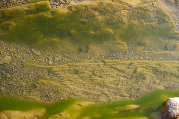 Underwater on the lake