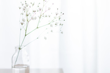 部屋の花瓶に飾ったかすみ草の一輪挿しのアップ