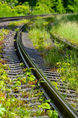 Eisenbahn Gleise Kurve nass Regen Glanz Strecke Schienen überwuchert Schwellen Stahl verrottet Natur Unkraut Strecke erneuern 