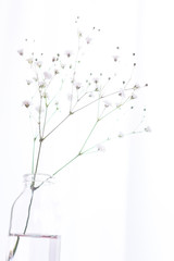 部屋の花瓶に飾ったかすみ草の一輪挿しのアップ