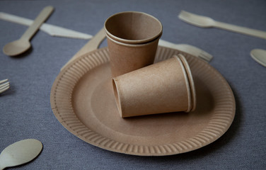 disposable eco dishes from paper cardboard spoon fork knife