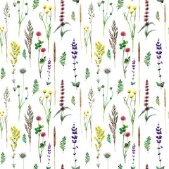 Watercolor drawing of wild meadow flowers, buds, inflorescences and leaves. Summer design. Design...