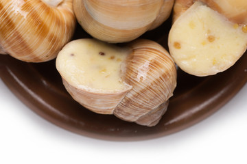 still life of stuffed snail sauce, on a white background