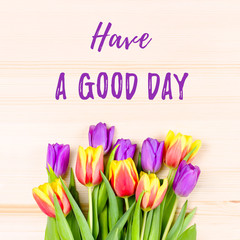 Have a good day card with beautiful multicolor tulips on wooden background. Good wishing for a good day