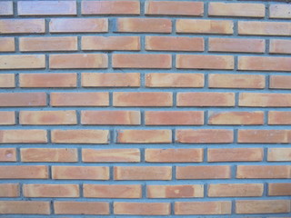  Ancient brick surface in the temple