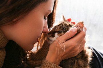 Portrait of young woman holding cute siberian cat with green eyes. Female hugging her cute long hair kitty. Background, copy space, close up. Adorable domestic pet concept.
