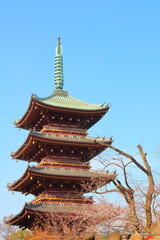 Ueno 5-Story Pagoda with Cherry Blossom 1