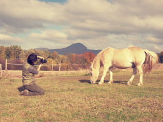 Black hair female photographer at horse. Photographer lying down on grass and photographing white horse