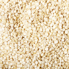 Raw organic superfood gluten free quinoa seeds closeup