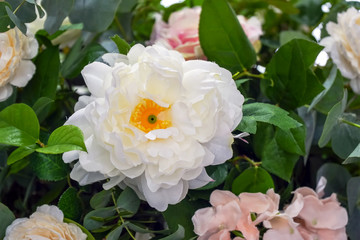 Artificial white flower Bud on a background of green leaves. Selective focus
