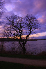 Fototapeta na wymiar Dramatic sky very cloudy at sunset. Tree without foliage in the foreground in front of a lake. Silhouette of the horizon at the water's edge in the background.
