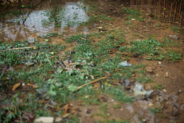 Drops fall in the puddle on a rainy winters day
