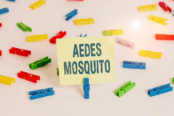 Word writing text Aedes Mosquito. Business photo showcasing the yellow fever mosquito that can spread dengue fever Colored clothespin papers empty reminder white floor background office