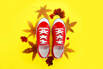 red gym shoes sneakers with white laces on a yellow background with orange autumn leaves