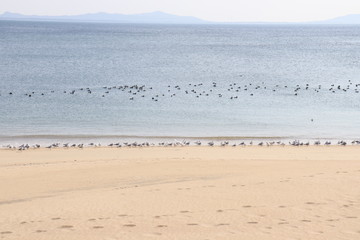 愛知県　篠島　風景