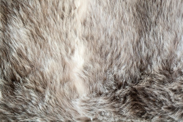 gray and white fake fur background macro 