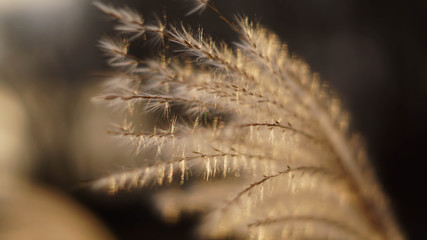 a look at life through joy and warmth