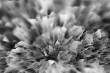 Fototapeta na wymiar Abstract black-and-white bright blurred background.