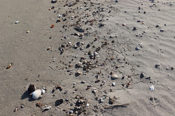 愛知県　篠島　風景