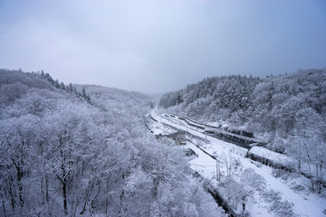 雪道