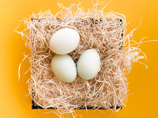 Three white chicken eggs are placed in the hay lay flat on yellow background, close up in the center of the frame with copy space. Horizontal.