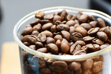 Tostao coffee laboratory, coffee beans from Colombia