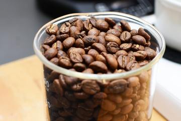 Tostao coffee laboratory, coffee beans from Colombia