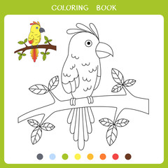 Illustration of parrot sitting on the branch for coloring book. Simple educational game for kids
