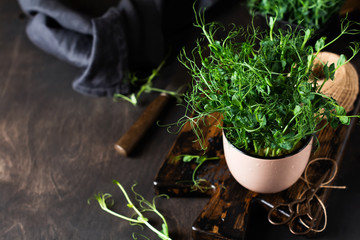Microgreen pea sprouts on old wooden table. Vintage style. Vegan and healthy eating concept.  Growing sprouts. Selective focus.