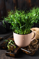 Microgreen pea sprouts on old wooden table. Vintage style. Vegan and healthy eating concept.  Growing sprouts. Selective focus.