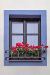 Fototapeta na wymiar Close up view of nice window with flowers.