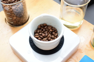 Tostao coffee laboratory, coffee beans from Colombia
