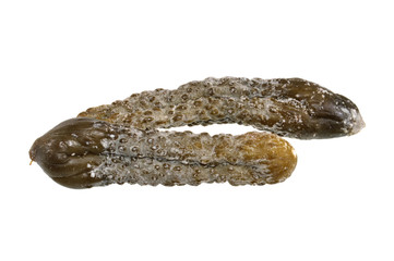 rotten cucumber isolated on white background
