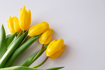 Fototapeta premium A bouquet of yellow tulips lies in the upper left corner on a white background