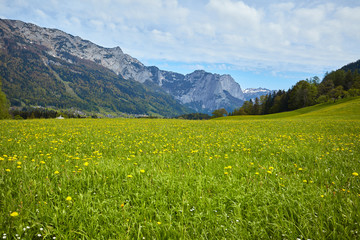 Beautiful landscape of valley in Alpine mountains, small houses in Seefeld, rural scene, majestic picturesque view in sunny day