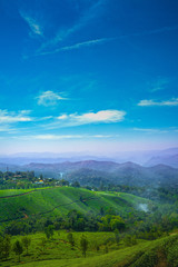 Famous, beautifut and ever green hill station, Munnar, in Kerala, South India