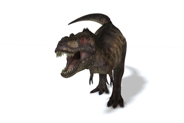 Obraz na płótnie Canvas Tiranosaurio Rex
