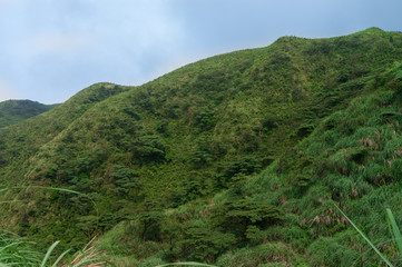 Geothermal hot spring with steam and sulfur crystals