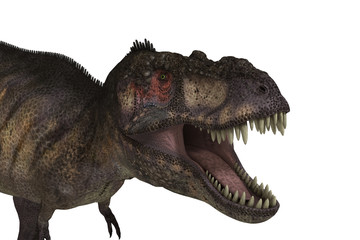 Obraz premium Tiranosaurio Rex