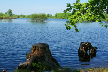 flood of the river in the spring