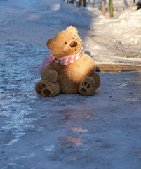 big cute curly teddy bear in a scarf sitting on white snow