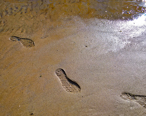 foot prints on the beach