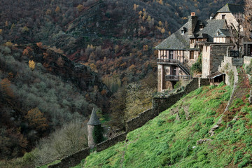 Fototapeta na wymiar Forested slopes in front of stone houses, Conques, France