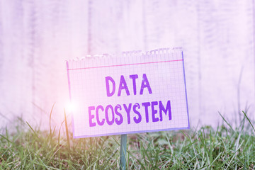Word writing text Data Ecosystem. Business photo showcasing collection of infrastructure used to capture and analyze data Mathematic paper attached to a stick and placed in the green grassy land