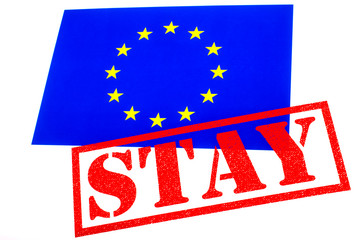 EU Referendum - Staying in the European Union