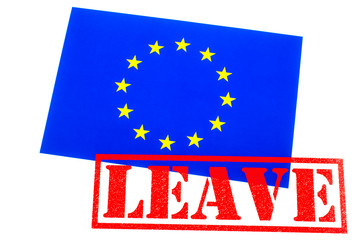 EU Referendum - Leaving the European Union