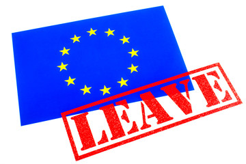 EU Referendum - Leaving the European Union
